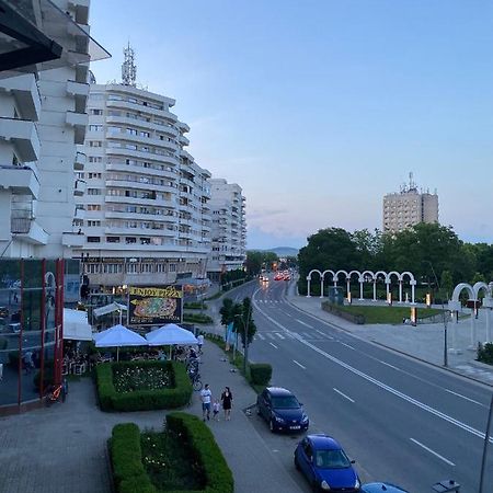 Studio Panoramic With Balcony And Parcul Unirii View アルバ・ユリア エクステリア 写真