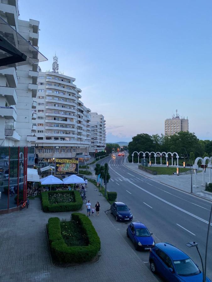 Studio Panoramic With Balcony And Parcul Unirii View アルバ・ユリア エクステリア 写真