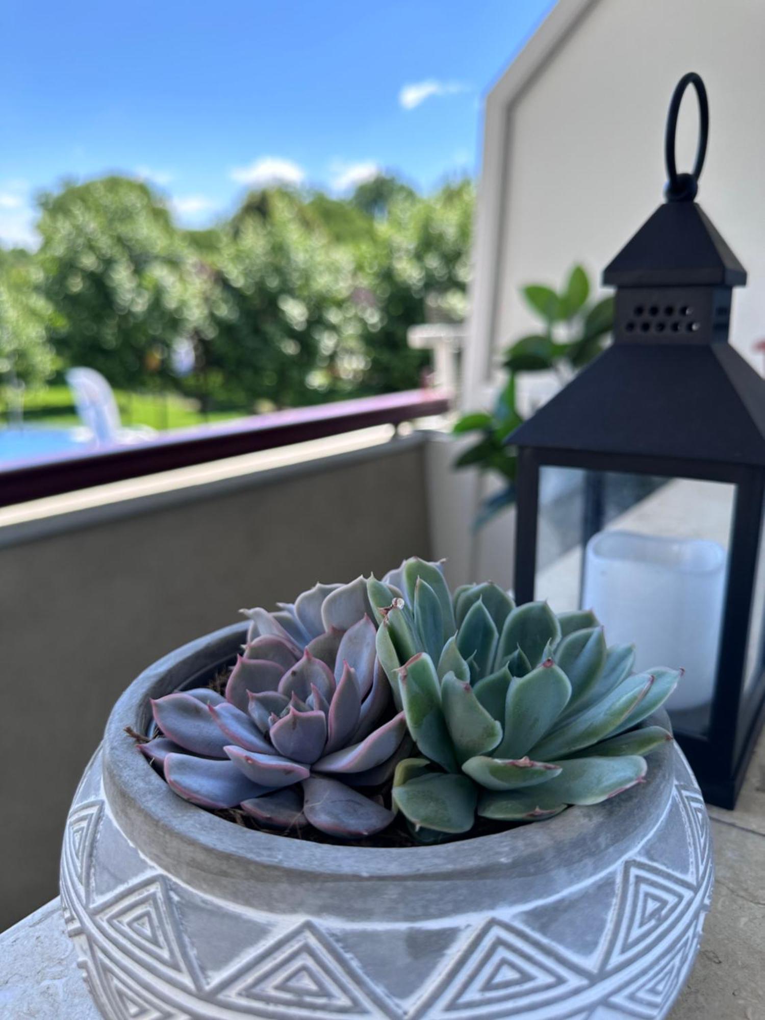 Studio Panoramic With Balcony And Parcul Unirii View アルバ・ユリア エクステリア 写真