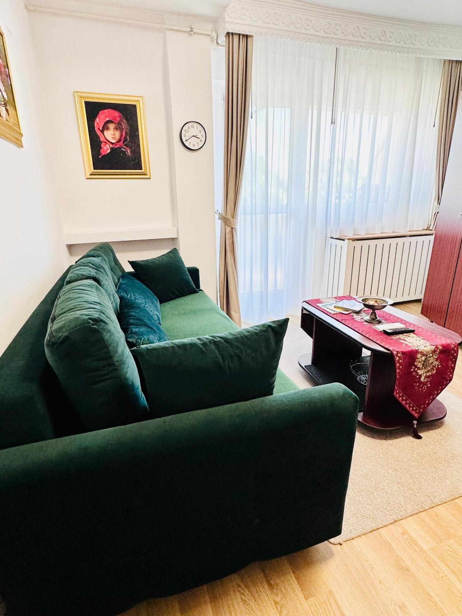 Studio Panoramic With Balcony And Parcul Unirii View アルバ・ユリア エクステリア 写真