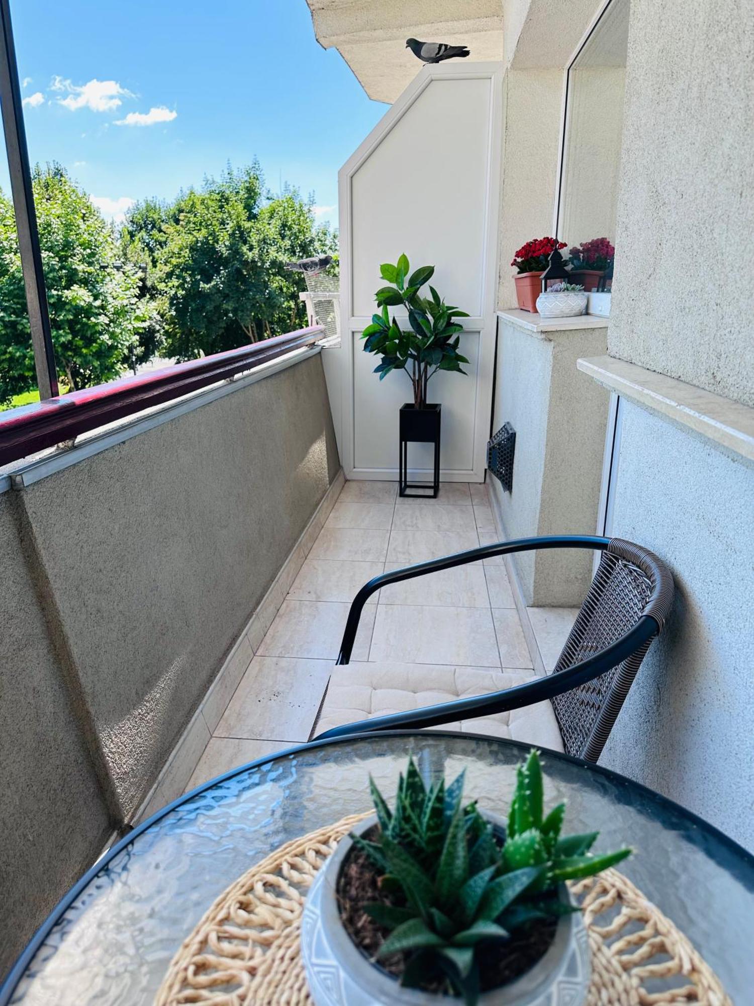 Studio Panoramic With Balcony And Parcul Unirii View アルバ・ユリア エクステリア 写真
