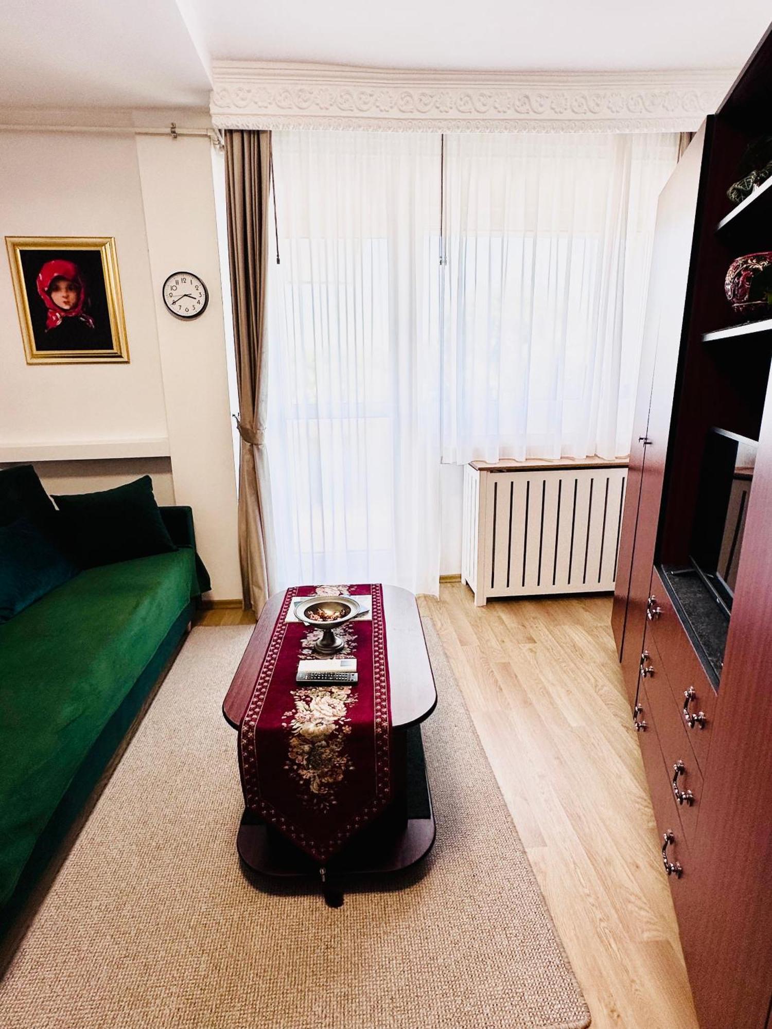Studio Panoramic With Balcony And Parcul Unirii View アルバ・ユリア エクステリア 写真