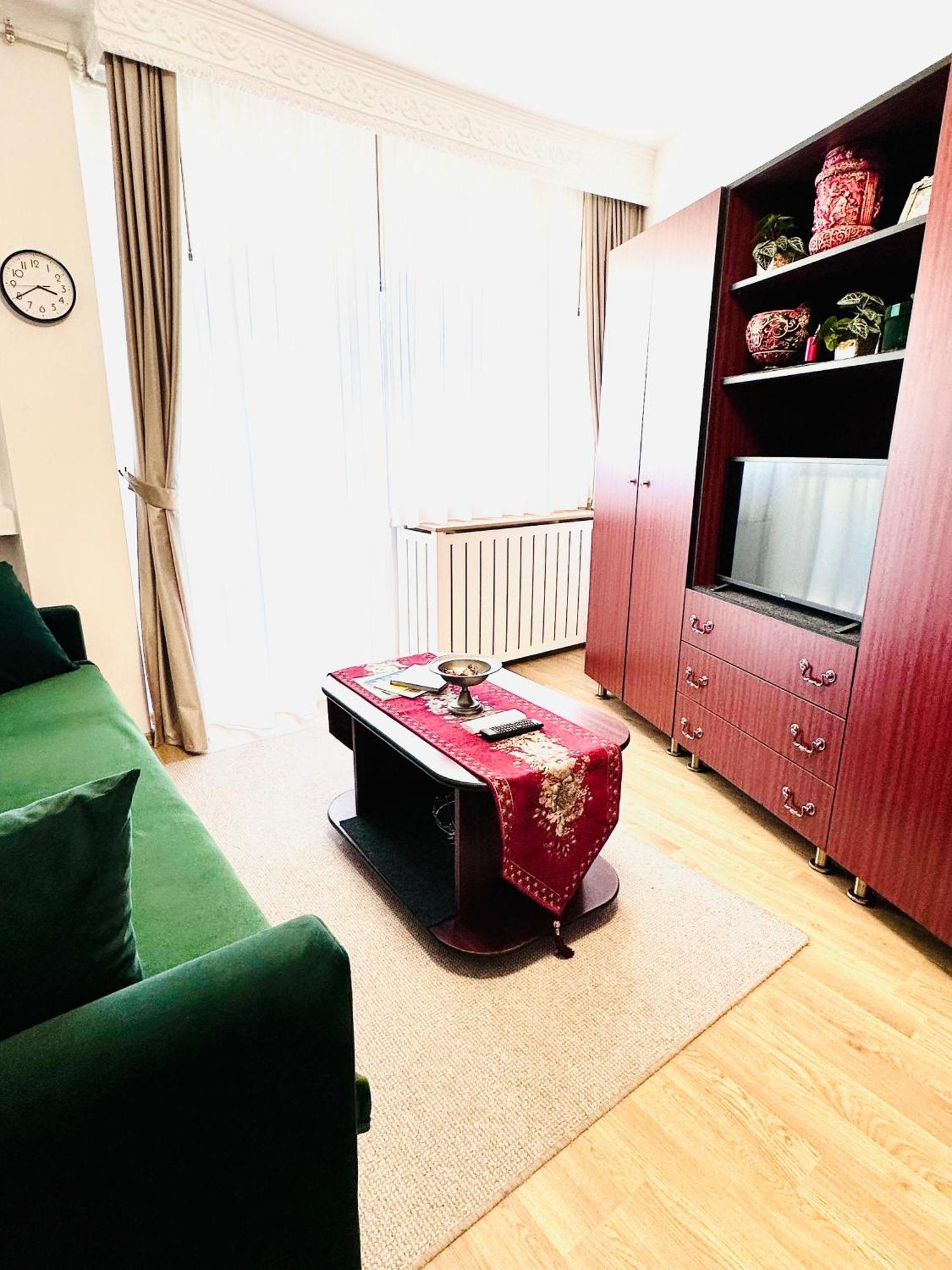 Studio Panoramic With Balcony And Parcul Unirii View アルバ・ユリア エクステリア 写真